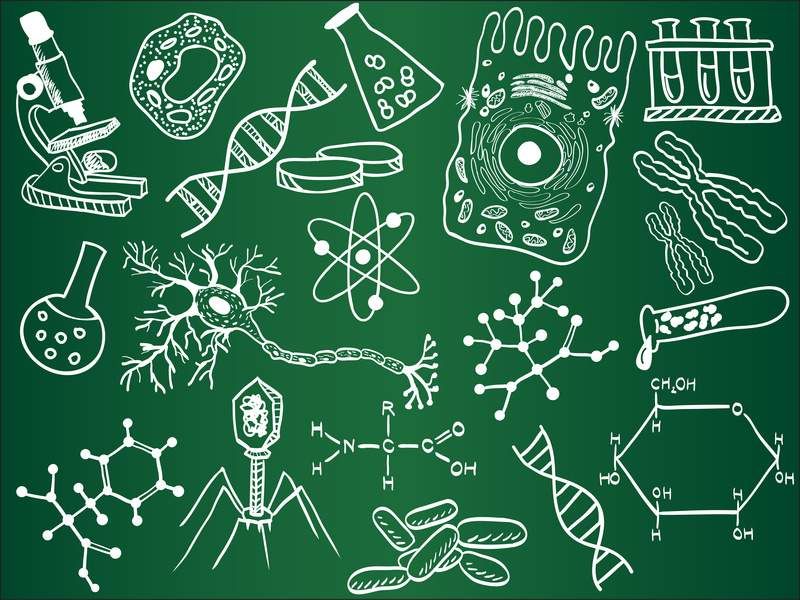 2026 Bio Revision(Essay based Revision.) (May - 06 month)&nbsp;