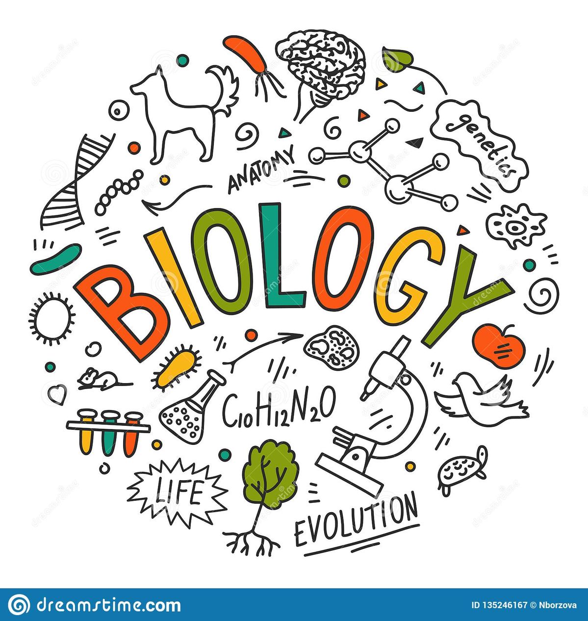 2027 A/L - Biology Paper class- January මාසය&nbsp;(03 වන මාසය.)Live zoom class&nbsp;-&nbsp;&nbsp;every Saturday 11.00am&nbsp;- 12.00pm.