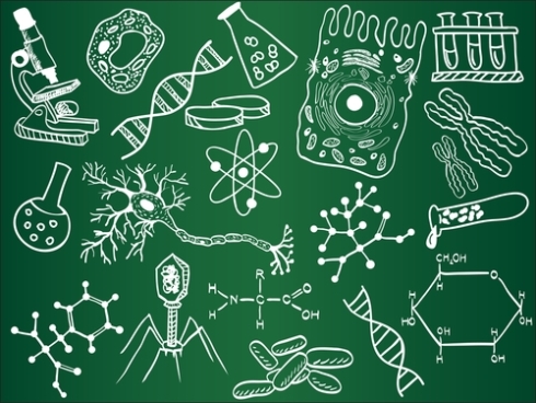 2026 Bio Revision(Essay based Revision.) (April - 05 month)&nbsp;