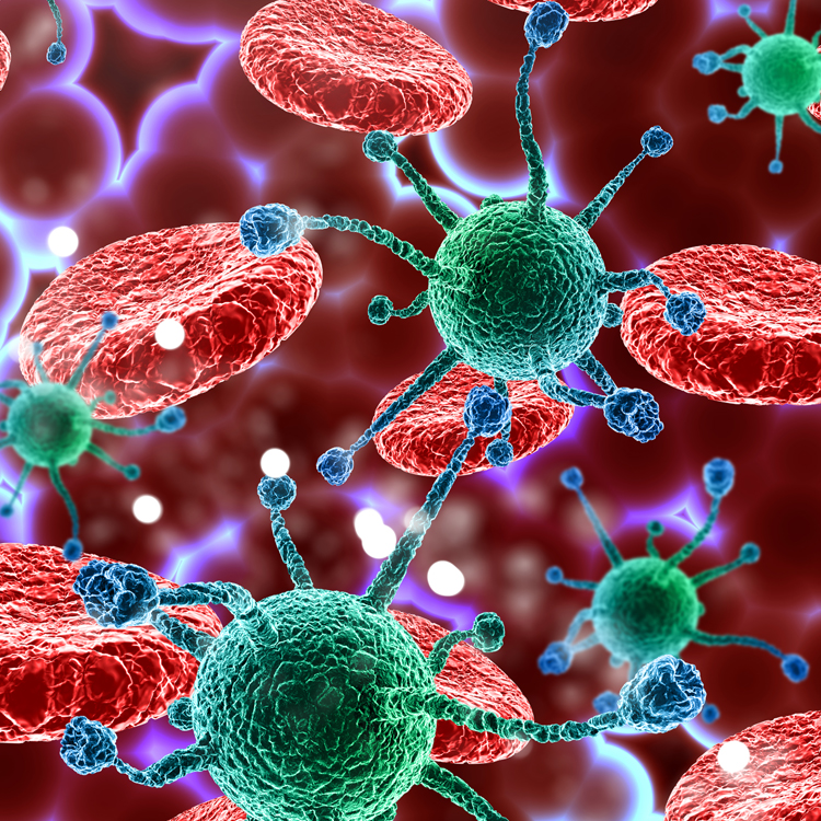 2026 A/L - Biology Paper class- November මාසය&nbsp;(02 වන මාසය)Live zoom class&nbsp;-&nbsp;&nbsp;every Tuesday 2.30 - 4.30 pm&nbsp;&nbsp;