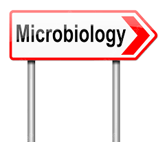 October Month&nbsp;2023 Theoryunit - 09 Microbiology