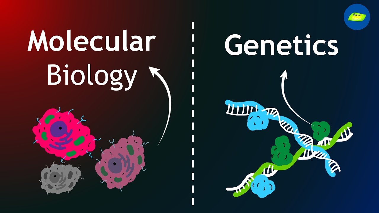 2025 A/L - Biology Theory - July&nbsp;මාසය&nbsp;(25&nbsp;වන&nbsp;මාසය)&nbsp;&nbsp;&nbsp;Live zoom class&nbsp;-&nbsp;every Friday&nbsp;8 am- 2.00 pm(galle)&nbsp; or&nbsp; &nbsp; &nbsp; &nbsp; &nbsp; &nbsp; &nbsp; &nbsp; &nbsp; &nbsp; &nbsp; &nbsp; &nbsp; &nbsp; &nbsp; &nbsp; &nbsp;every Thursday&nbsp;7.30 am - 2.00 pm(kurunegala)&nbsp;(මින් එක් පංතියකට පමණක් සහභාගී විම ප්&zwj;රමාණවත් වේ.)Unit - 06 - අන්තිම ටික සහ Unit - 07 ආරම්භය&nbsp;