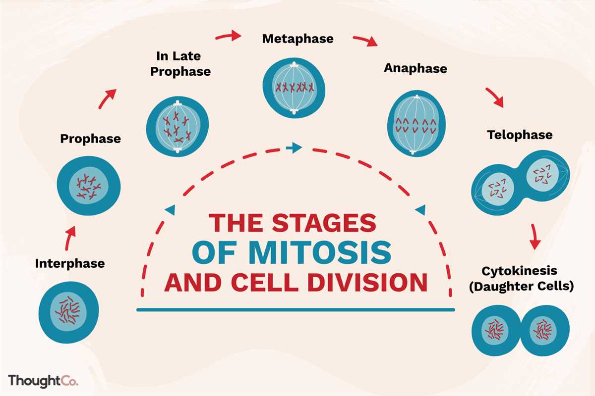 &nbsp; &nbsp; &nbsp; &nbsp; &nbsp; &nbsp; &nbsp;2028 A/L - Biology Theory&nbsp;&nbsp;- June මාසය (04&nbsp;වන මාසය.)